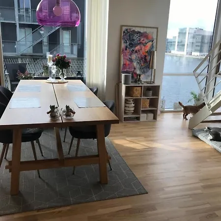 Apartment Penthouse With Cph Harbour View Copenhagen